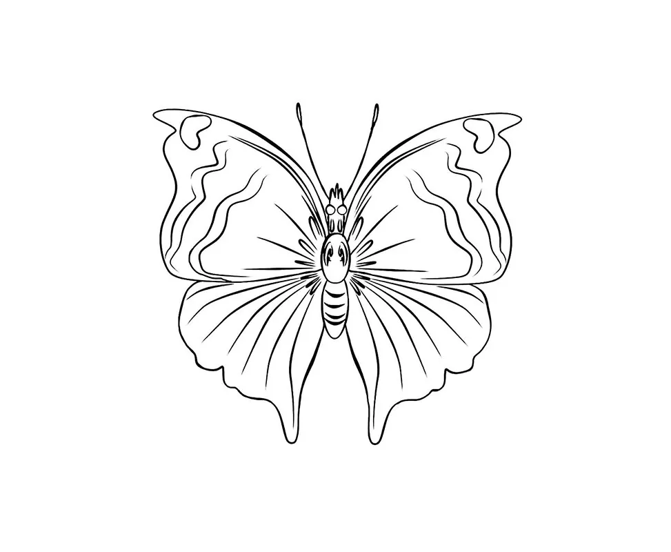 desenhos para colorir borboleta 53 desenhos para colorir borboleta 53