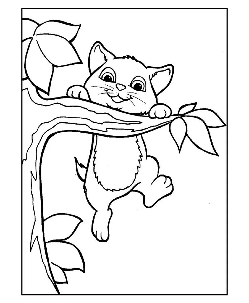 desenhos para colorir gato 37