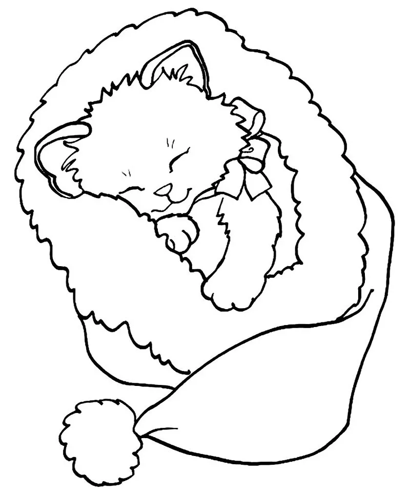 desenhos para colorir gato 38